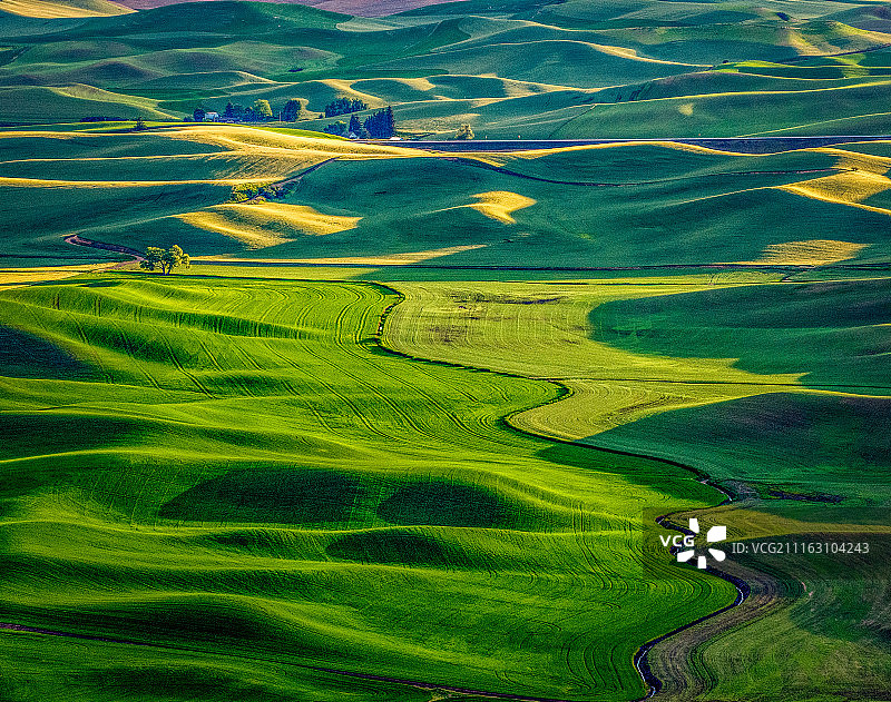 金色阳光照耀在田野上图片素材