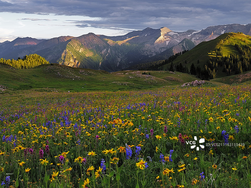 群山脚下的美丽草地图片素材