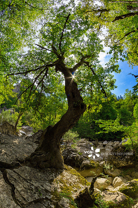 成为现实图片素材