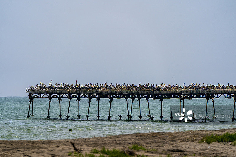 秘鲁皮斯科图片素材