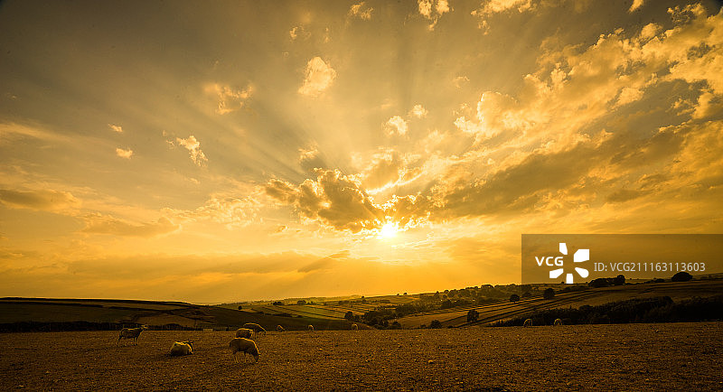 田野日落图片素材