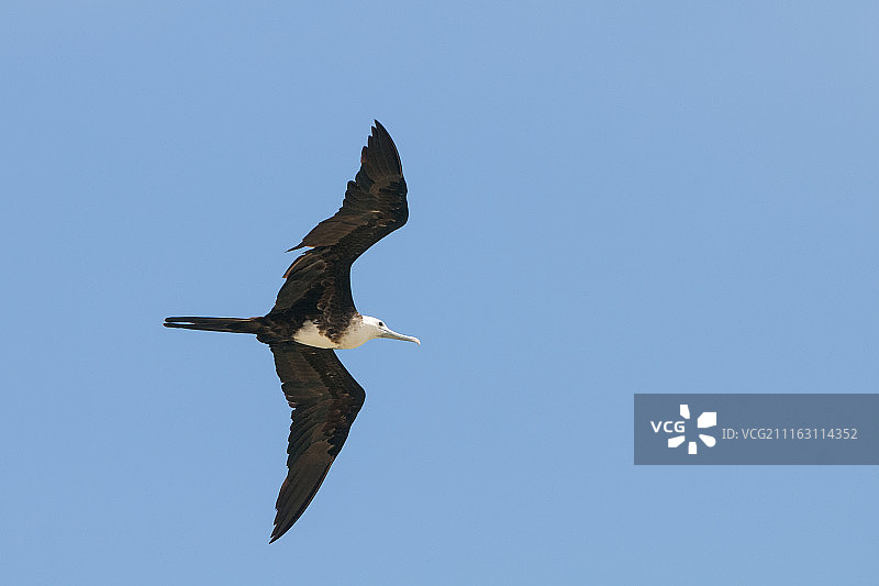 蓝色天空下的护卫舰图片素材