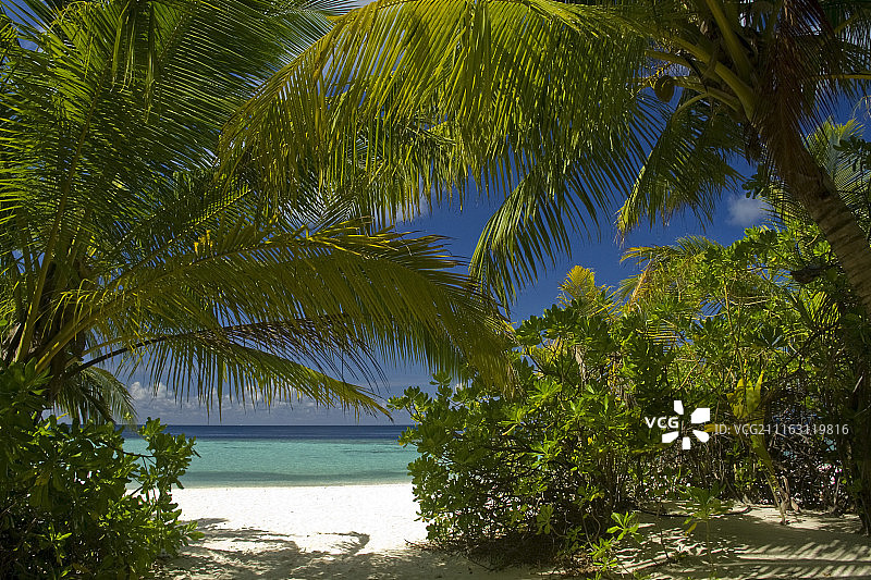 马尔代夫群岛南马累环礁比亚度岛图片素材