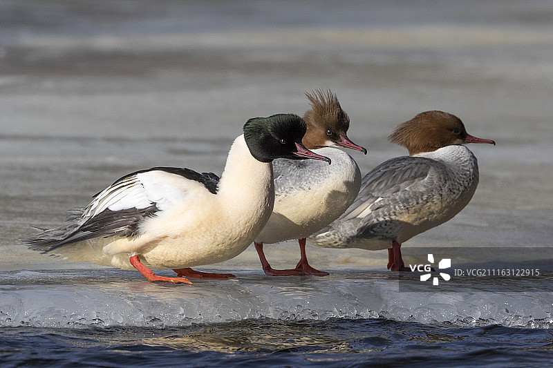 科特卡，芬兰图片素材