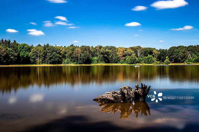湖中树干图片素材