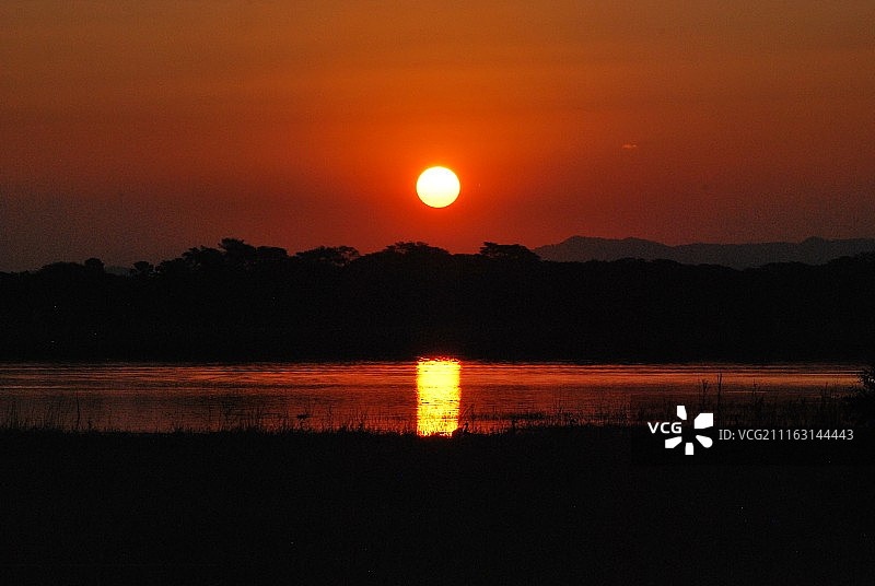 湖面上的日落，树木的剪影图片素材