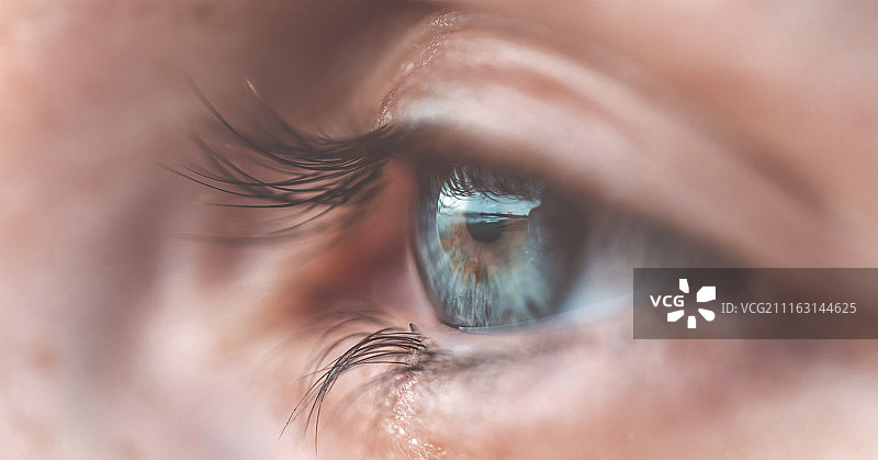 人眼特写图片素材