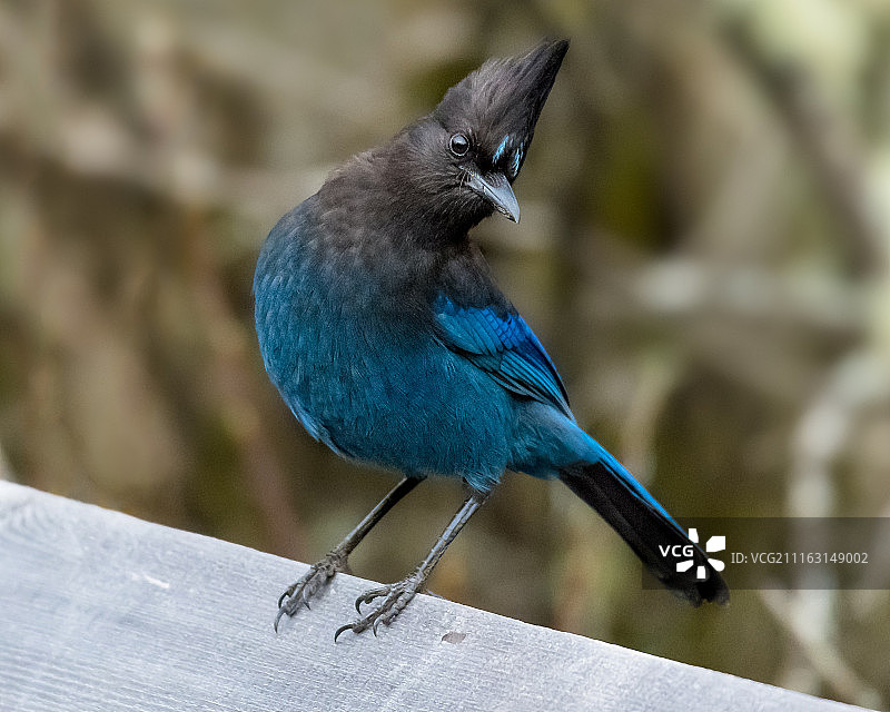 你怎么样？图片素材