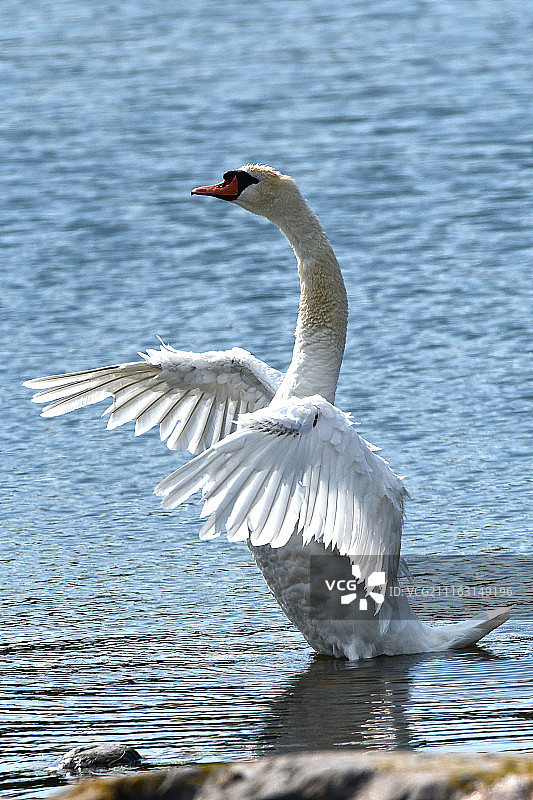站起来图片素材