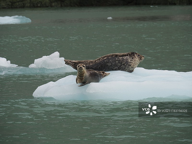 美国朱诺图片素材