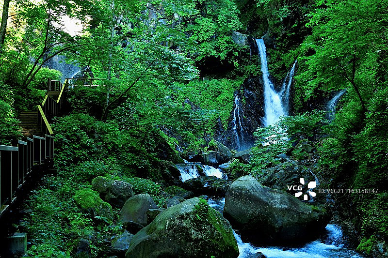 森林里的瀑布与木制楼梯图片素材