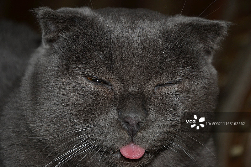 别担心，要快乐！图片素材