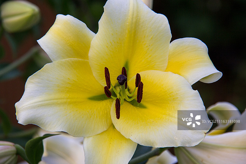 母女俩图片素材