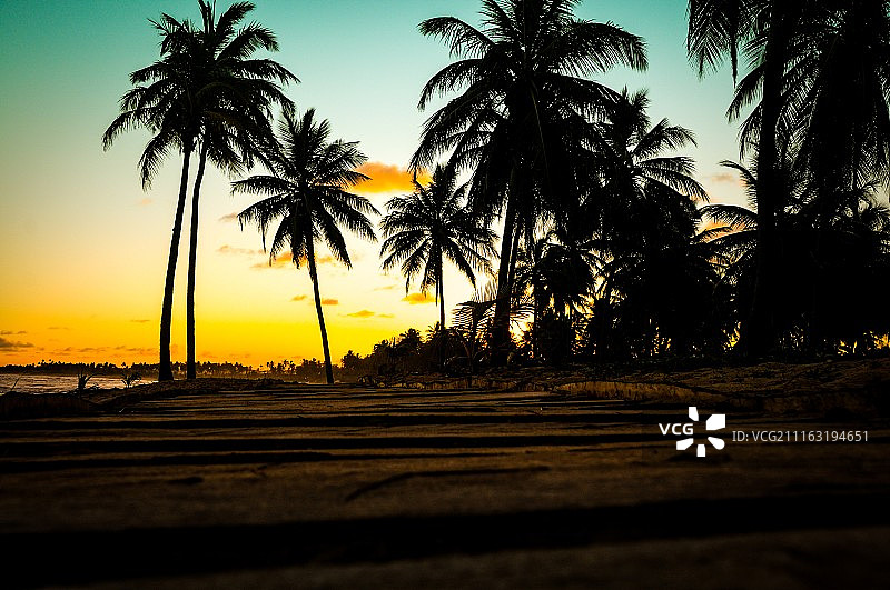 巴西绍伊pe海岸图片素材