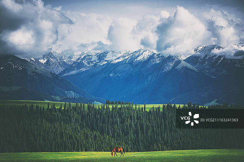 喀拉峻草原风光图片素材