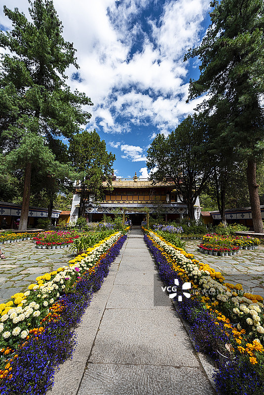 拉萨罗布林卡图片素材