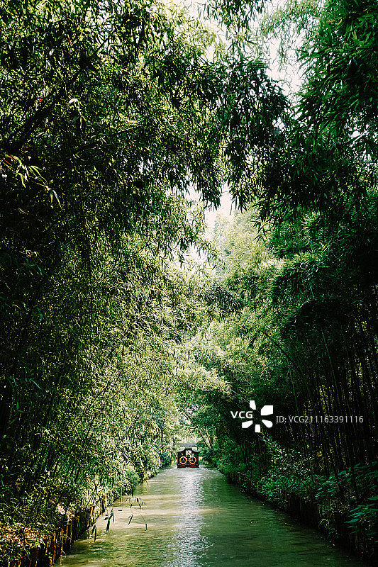 苏州著名景点同里国家湿地公园图片素材