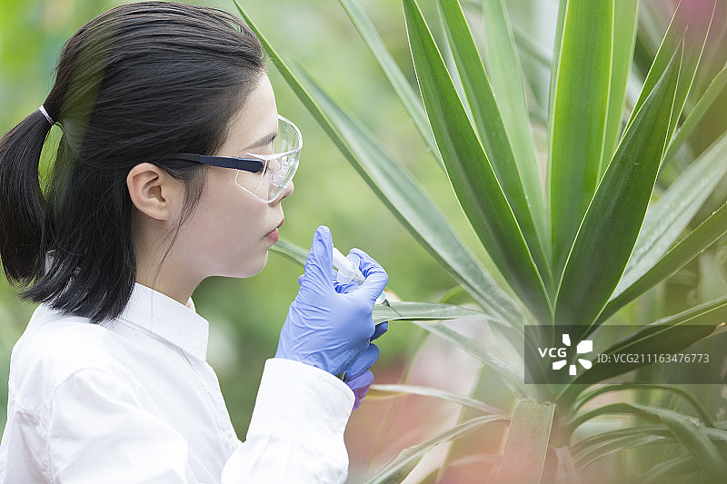 女科学家在现代农庄做科学研究图片素材