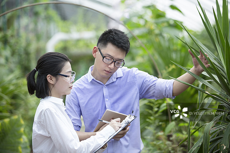 农学家们一起在现代农庄做科学研究图片素材