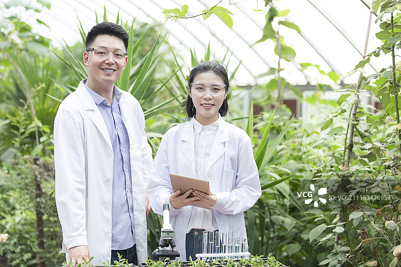 农学家们一起在现代农庄做科学研究图片素材