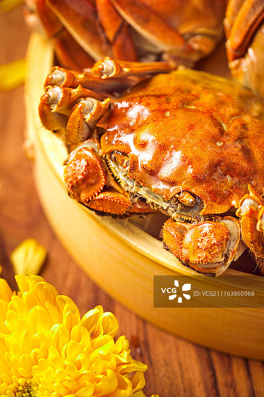 阳澄湖 大闸蟹 chinese festival图片素材