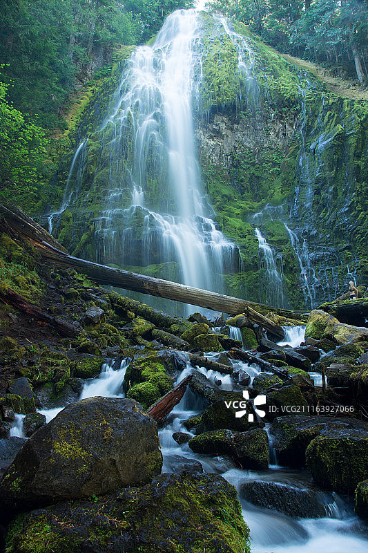 森林中的瀑布图片素材
