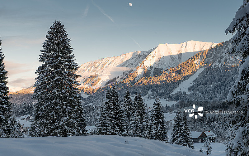 冬季的山脉与森林图片素材