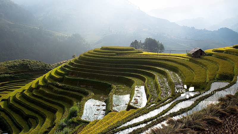 越南木江界雨季梯田图片素材