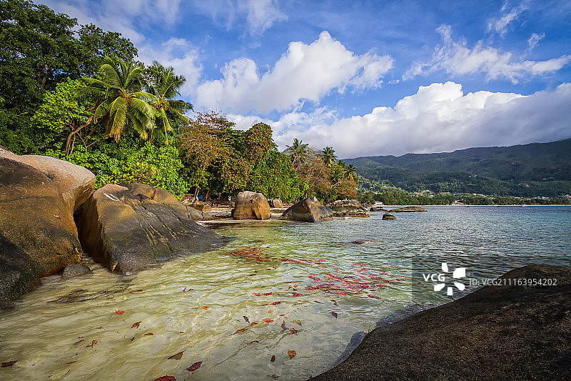 海边棕榈树热带风光图片素材