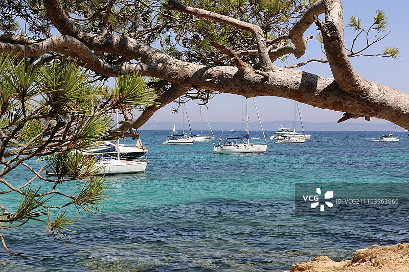 海面和海岸树木上的船只景观图片素材