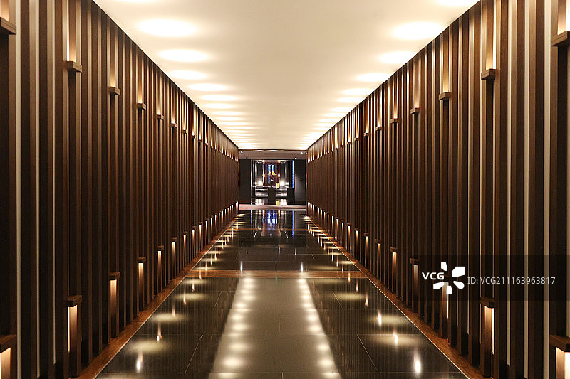 渐进线之原木森林图片素材