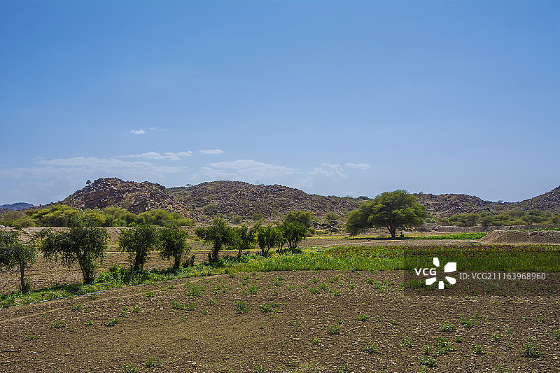 不利条件下的农业图片素材