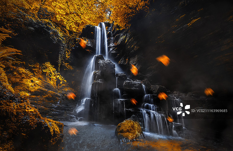 瀑布、树木和落叶景观图片素材