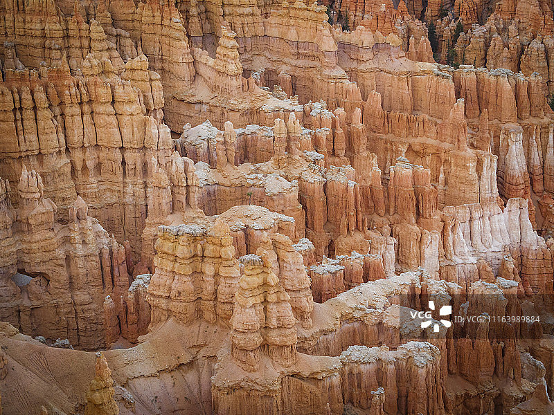 布莱斯图片素材