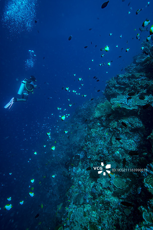水下潜水员视角图片素材