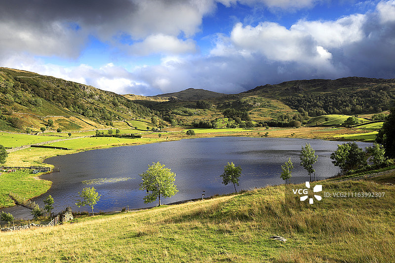 乡村湖景图片素材