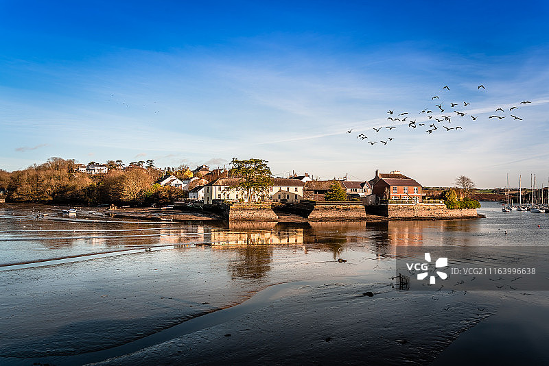 码头上空的鸟群图片素材