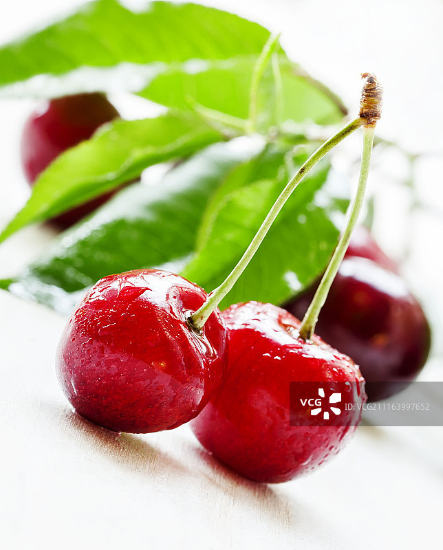 樱桃果实特写镜头图片素材