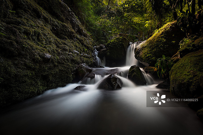 森林中的溪流图片素材