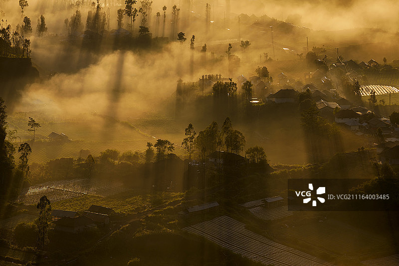 日出时雾气弥漫的坡上的房屋图片素材