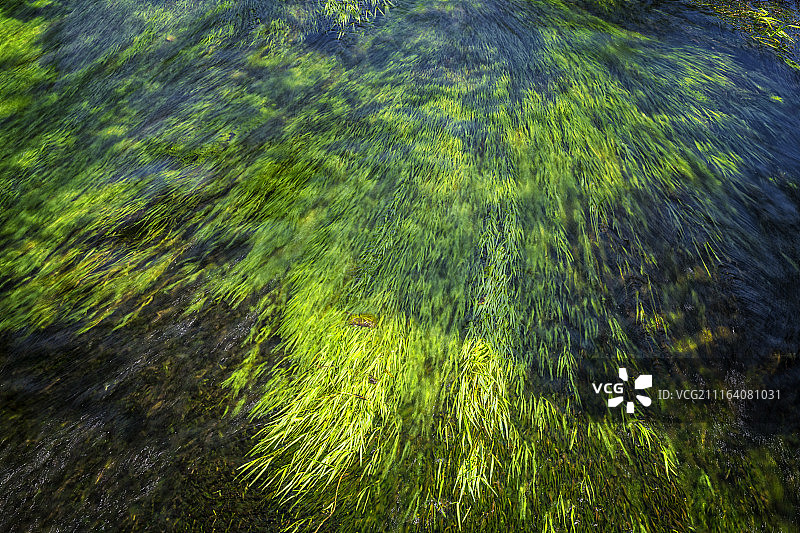 日本忍野八海图片素材