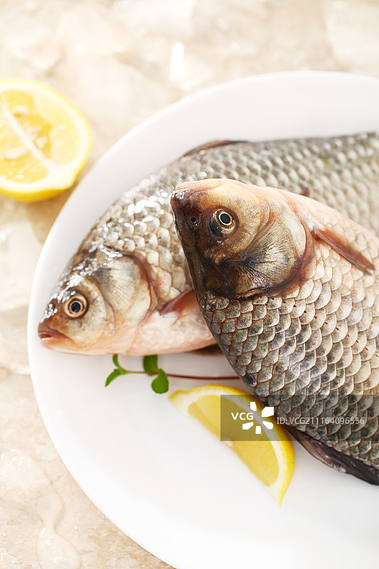 两只鲫鱼图片素材