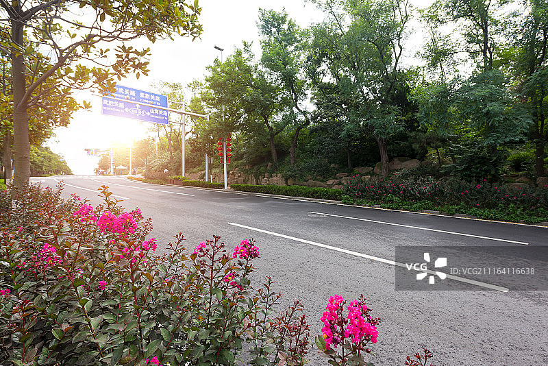 城市道路与绿化图片素材