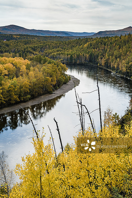 大兴安岭莫尔道嘎秋色图片素材