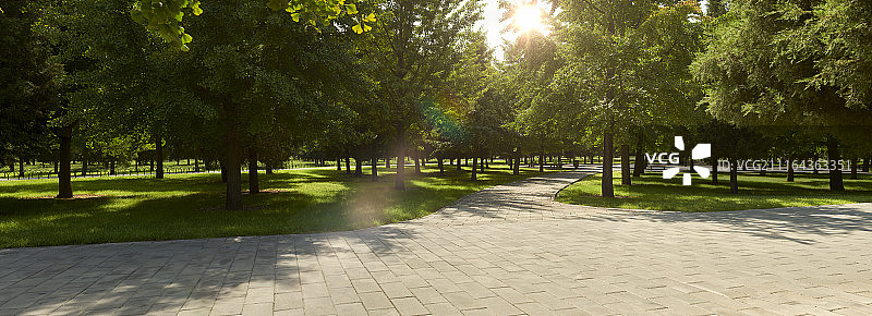逆光下的公园树林休闲广场图片素材