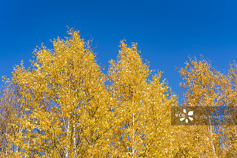 金秋时光图片素材