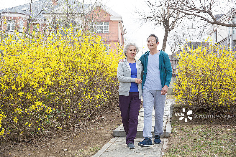 老年夫妇在户外图片素材