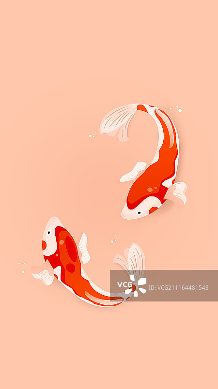 壁纸锦鲤图片素材