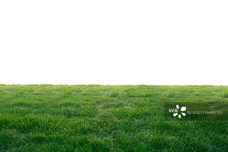 绿色的草皮图片素材