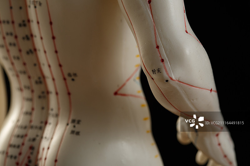 针灸穴位图片素材